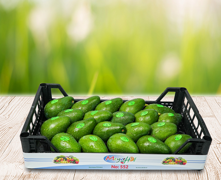 avocado